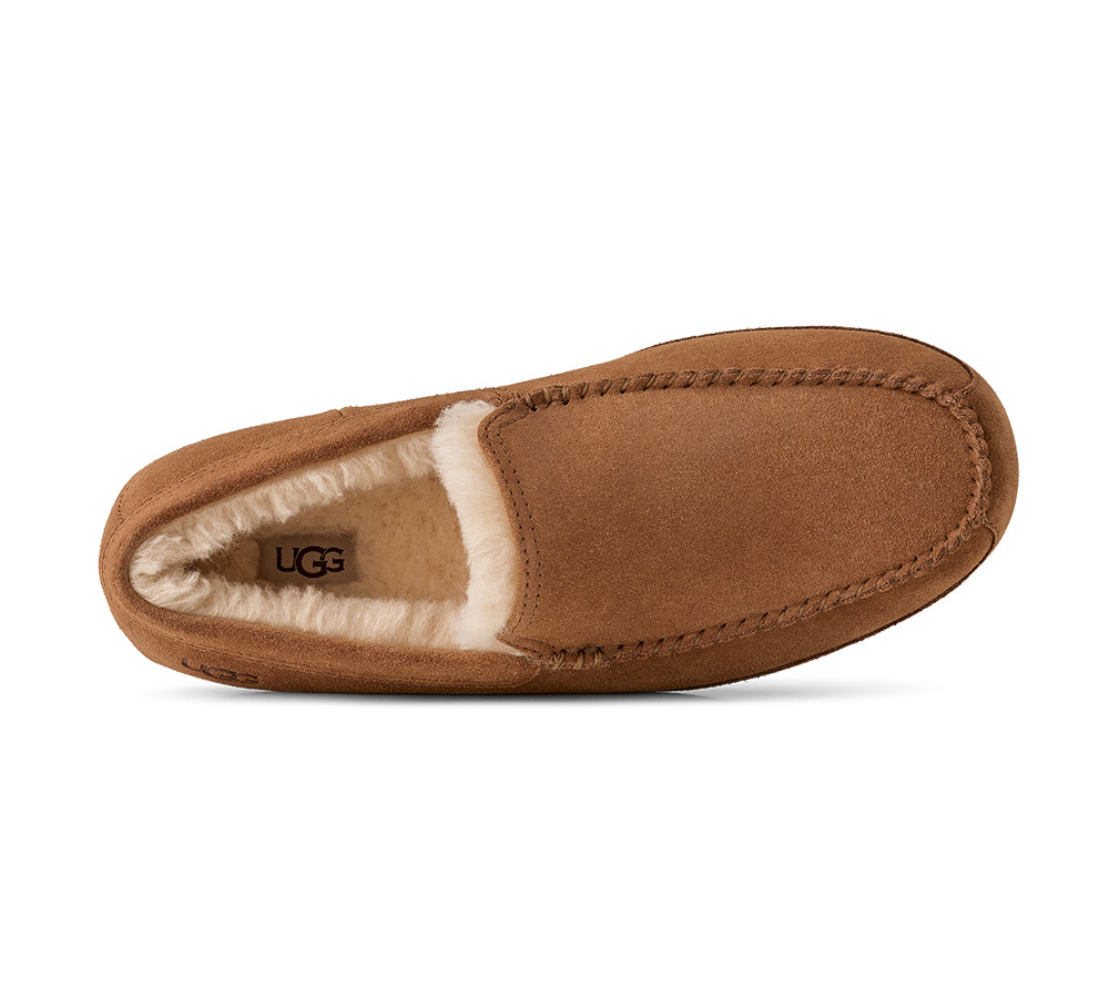 UGG M LINSCOT